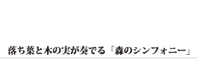 落ち葉と木の実が奏でる「森のシンフォニー」