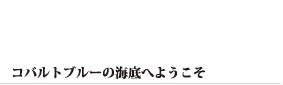 コバルトブルーの海底へようこそ